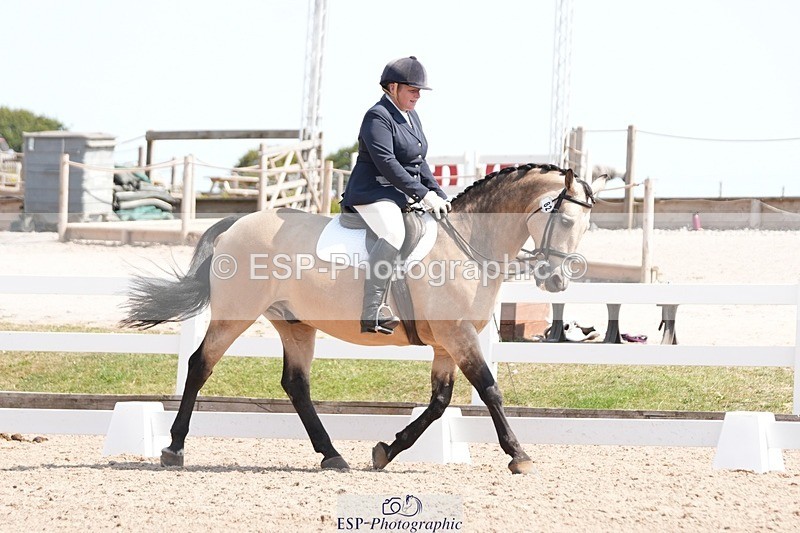 250817-130742-09239 - 082-Sarah.DavisWinston.Classic.Gold