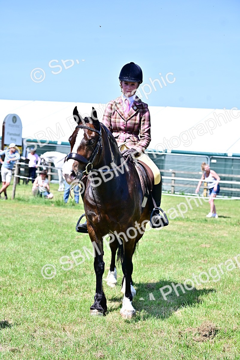 SBM_15309 - Class 95-97 - BSPS LHS Performance Ponies