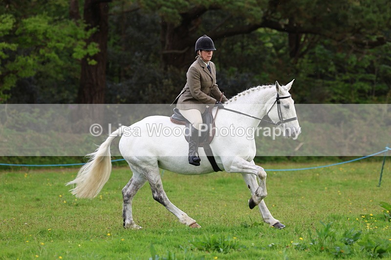 3E7A2577 - Classes 30 and 31: 80cm Working Hunter