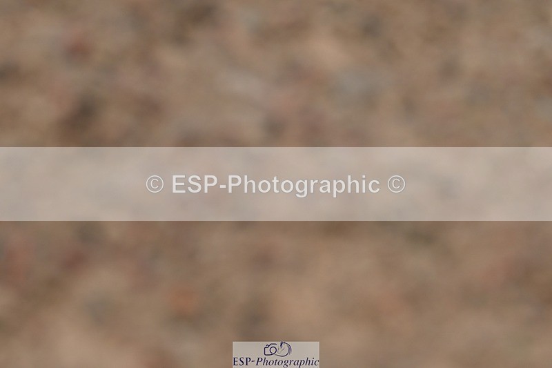 250621-160655-11997 - Cls 33 - Medium 6