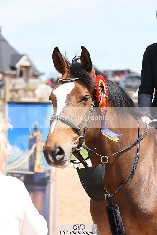 250525-123047-08253 - Cla 27 A&B 1.05 & 1.10m Snr Gran Prix