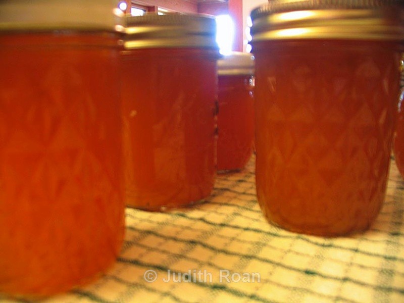 Quince-1 - Quince Jelly