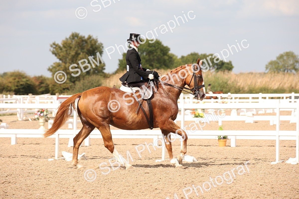 SBM_06696 - Class 23 SSA Classical