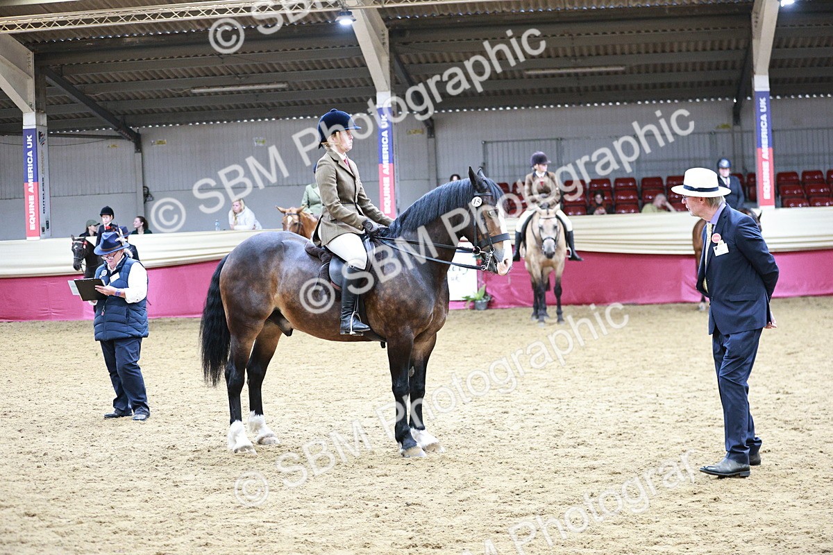 SBM_03583 - Class 6A Area Ridden Pre-Vet