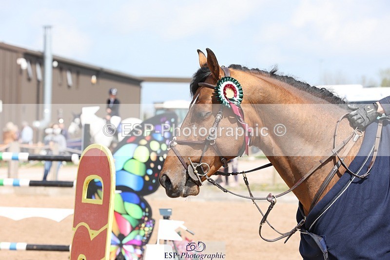 250427-114744-16071 - Cls 36 Young Horse 7yr old