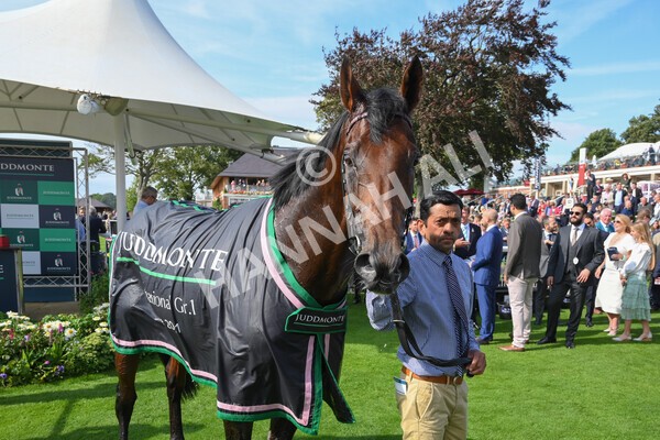 yr18082021r4-164 - Race 4 3.35pm Juddmonte International Stakes (British Champion Series race)