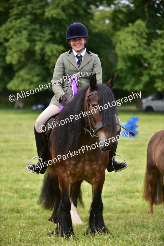 20260614-4211 - Class 17 - Best Mane and Tail