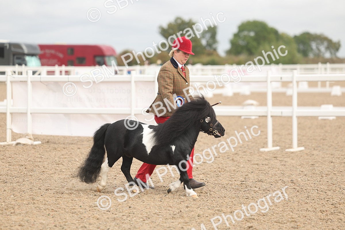 SBM_02152 - Class 15 - IH Coloured