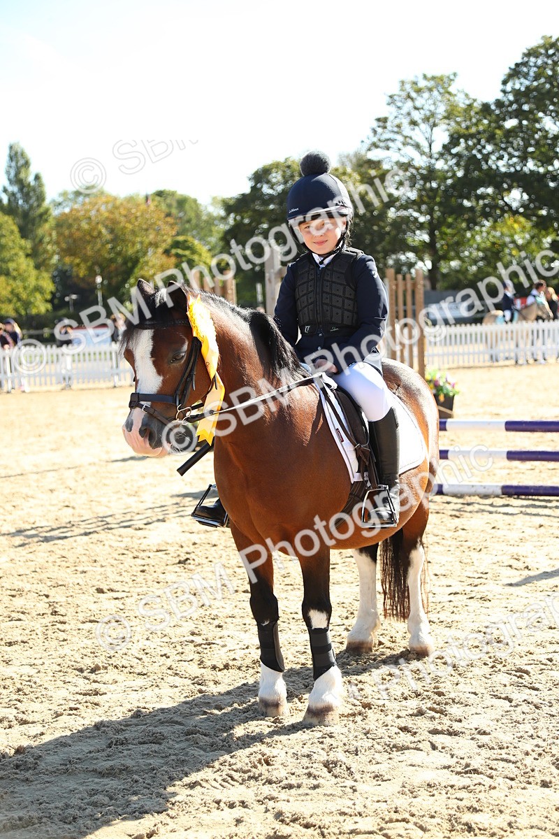 SBM_36038 - J5 - Junior Pony 50cm Championship