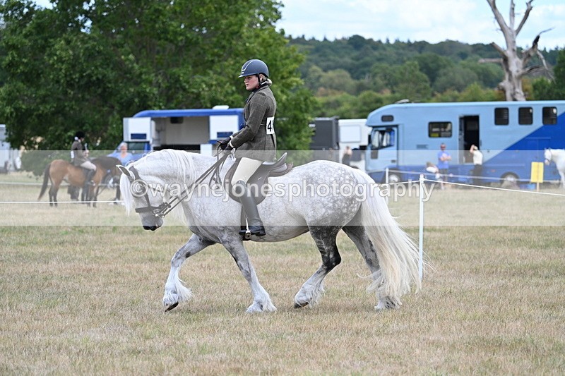 WJ7_4953 - Class 12 Ridden Cob