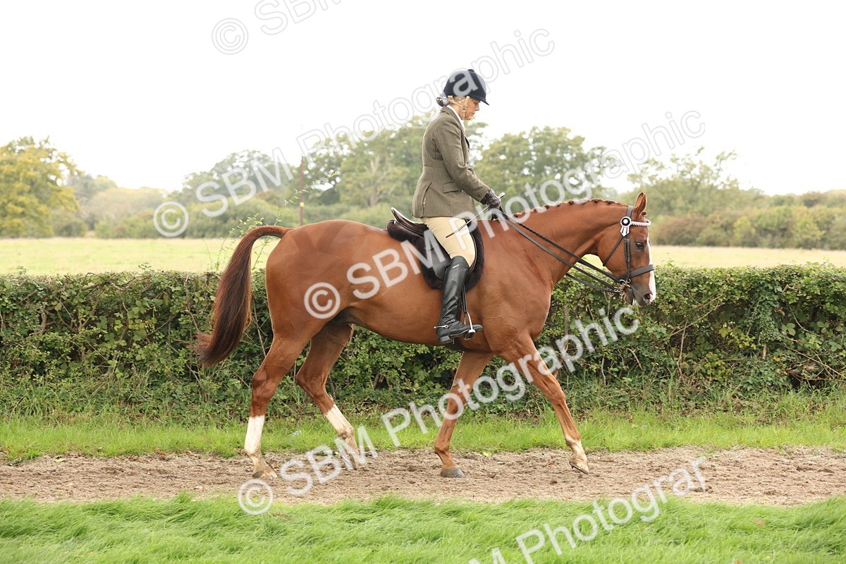 SBM_64148 - S65 - Riding Horse & Hack & Thoroughbred Ridden