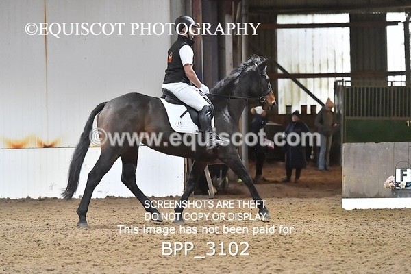 BPP_3102 - INTRO TEST 2