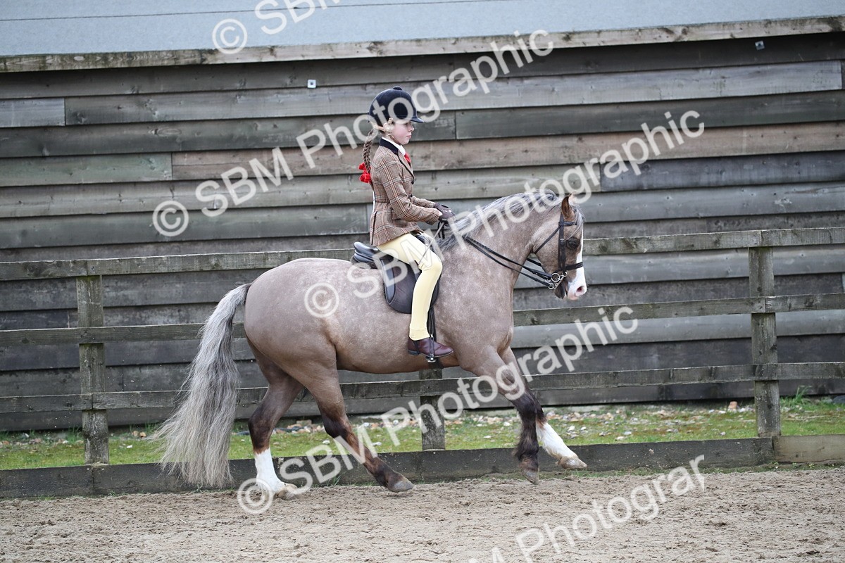 SBM_005928 - Class 10-13 - RIHS Small Large Breeds