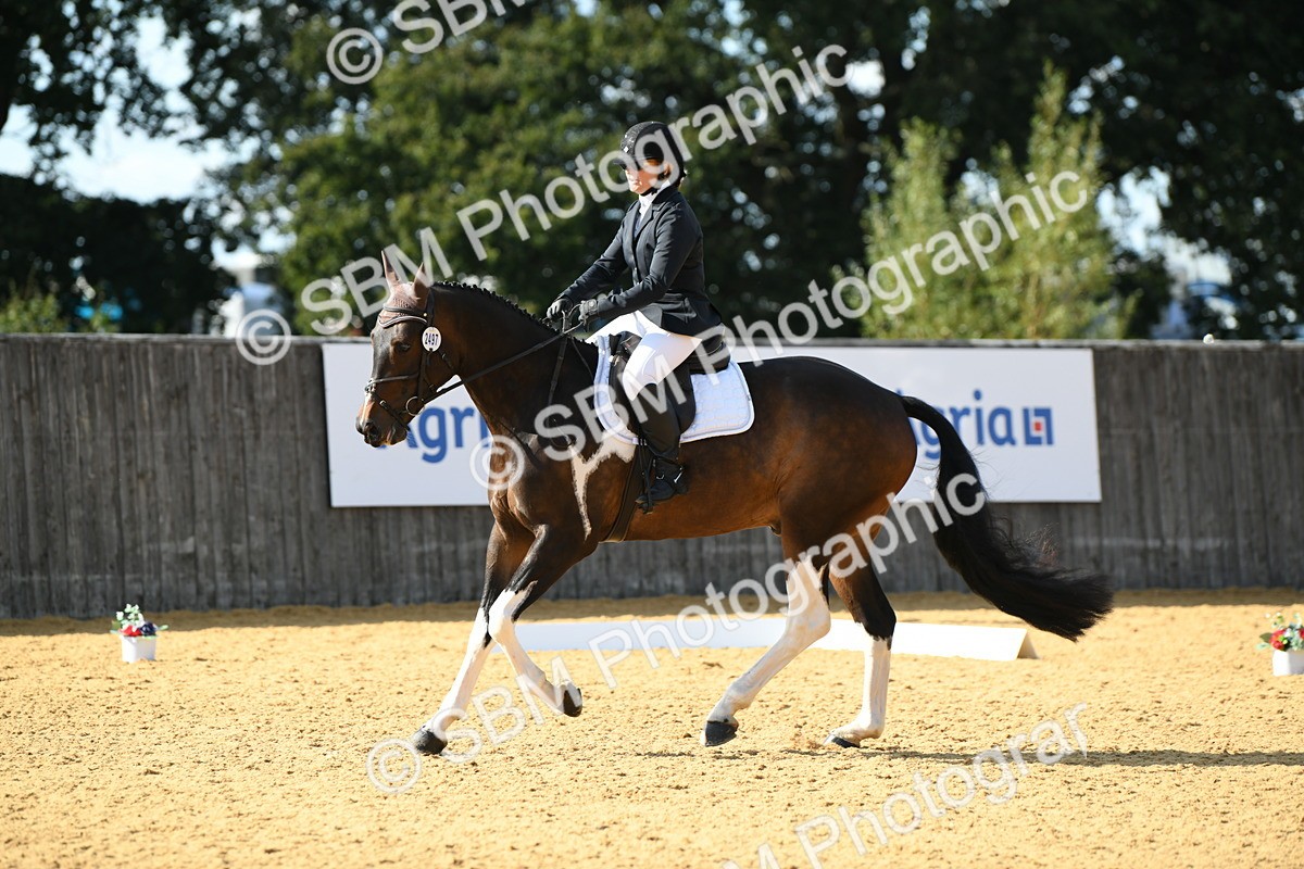 SBM_27015 - D16 - Small Tour Championship - Novice 28