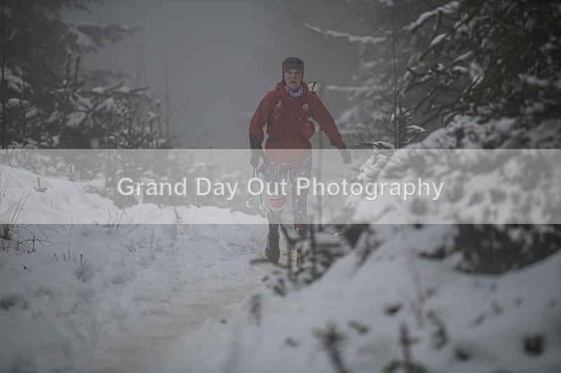 Glentress-1689 - High Terrain Events Glentress 42, 21 & 10K Trail Races Sunday 15th February 2026
