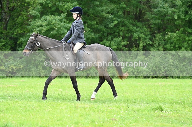 WJ7_4495 - Class 14B Prettiest Mare
