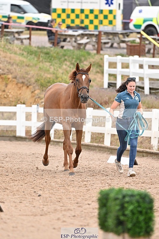 250716-160858-02448 - Trot Up 3.30 to 4.30