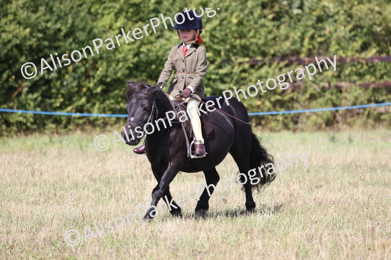 20260906-3074 - Class 18 - Childs First Pony