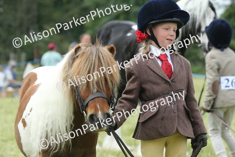 20260614-4289 - Class 18 - Best Junior Handler