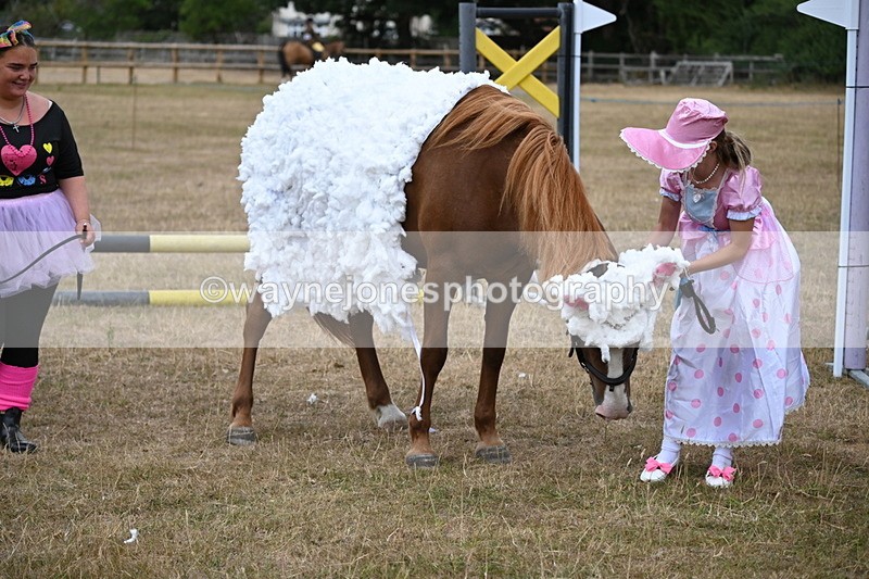 WJ6_8719 - Class 11 Fancy Dress