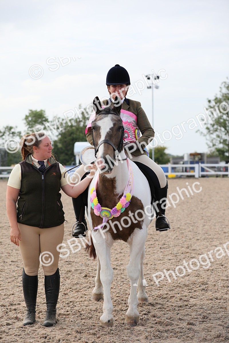 SBM_17034 - Class 314 Family Horse/Pony