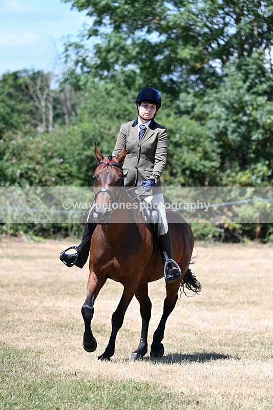 WJ7_3071 - Class 7 Riding Club Show Horse