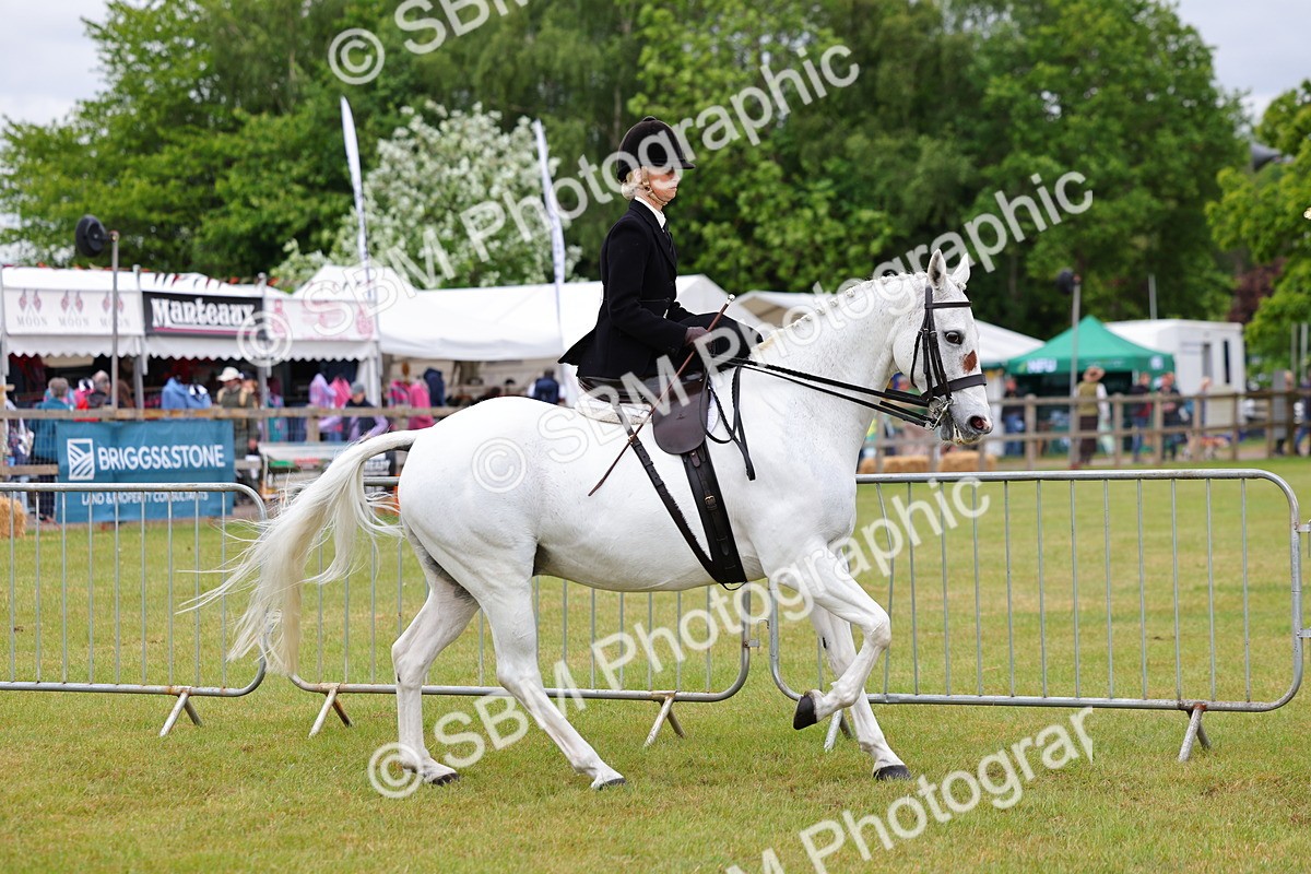 SBM_02937 - Class 9-11 Side Saddle including LIHS Rising Star Ladies Show Horse