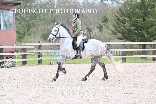 BPP_8020 - SUPREME CHAMPIONSHIP