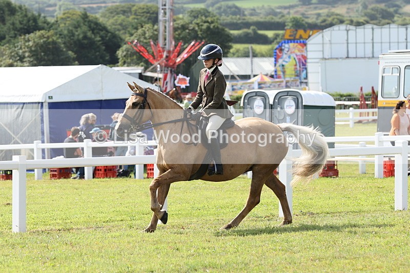 JPP_0830 - Class 16: Cornish Combination Young Rider