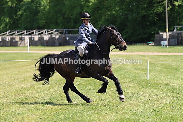 IMG_4168 - Working Hunter