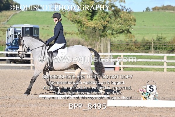 BPP_8495 - SHORT ARENA INTRO 1