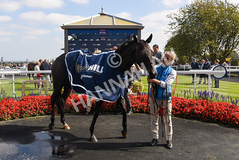 310824-Race 1-Quietness-2608 - Race 1