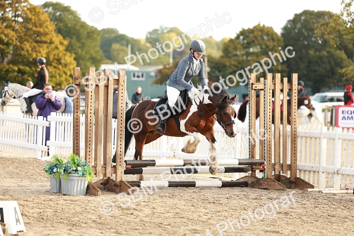 SBM_55458 - J11 - Junior Pony 50cm Championship