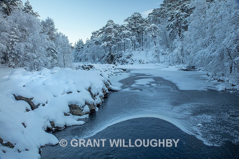 Glen Affric 4 - Horizontal