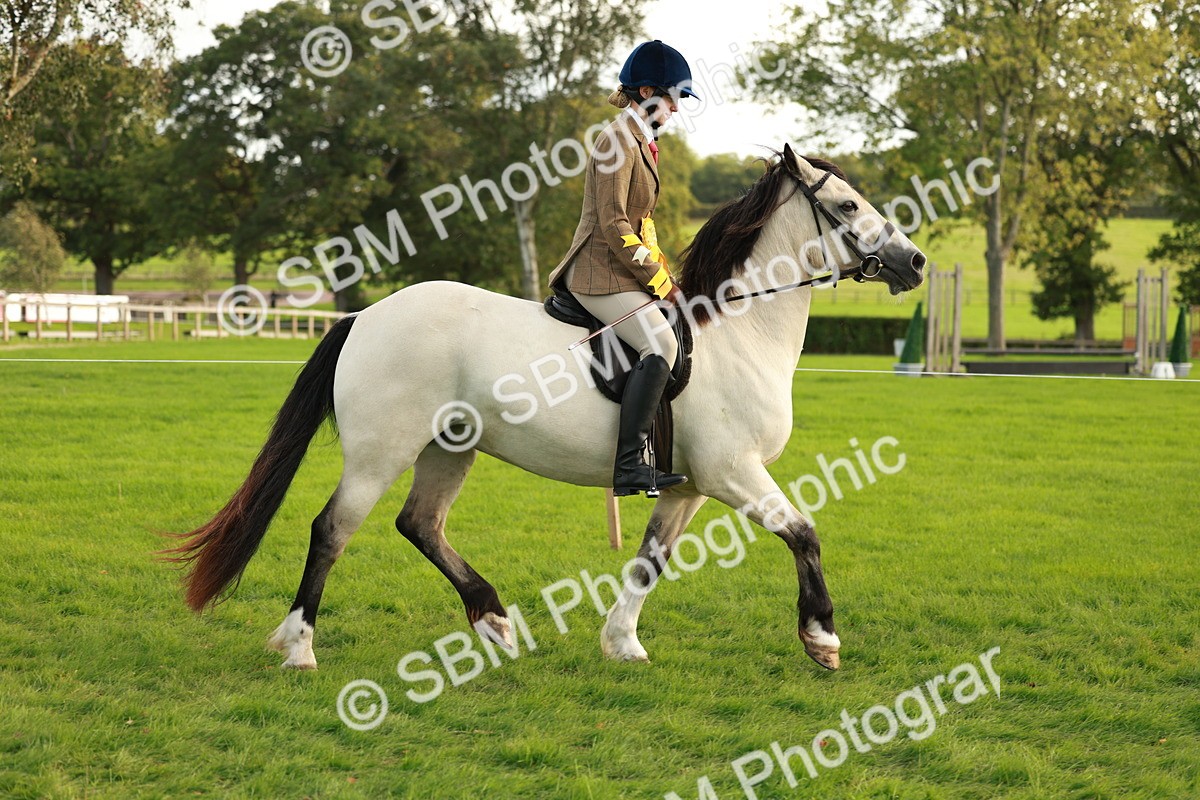 SBM_28936 - S7 - Novice & Newcomer Ridden Pony