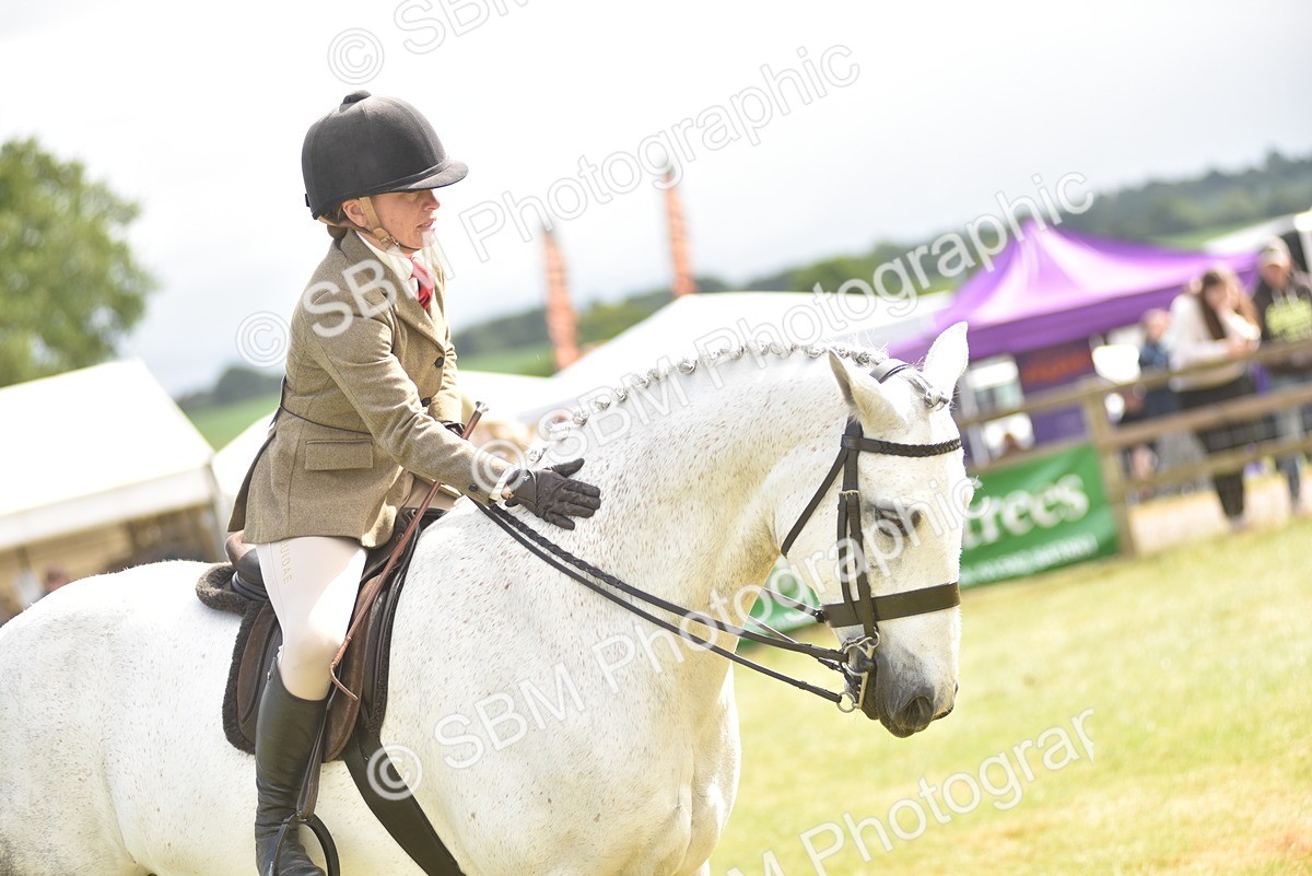 SBM_12144 - Class 110-112 - LIHS BSPS Performance Pones