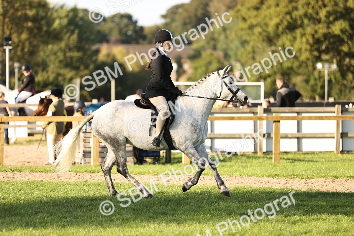 SBM_29611 - S7 - Novice & Newcomers Ridden Pony