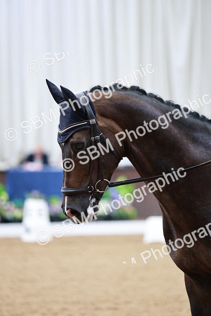 SBM_020549 - Class 13 - FEI INT I - 15.30-16.00