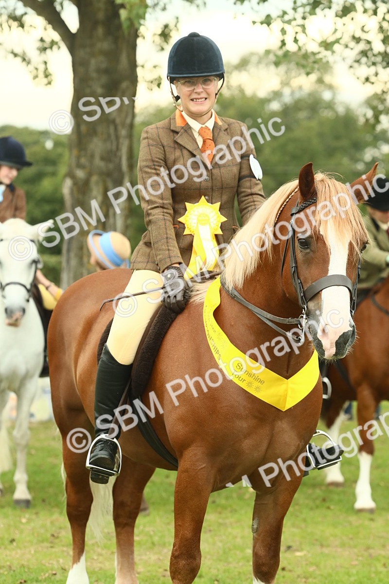 SBM_72302 - S60 - Mountain & Moorland Ridden Large Breeds