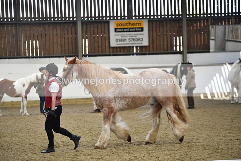 WJ5_4770 - Class 7 In hand coloured / odd coloured