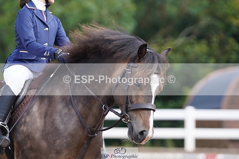 240809A-095824-00380 - Dressage Competition