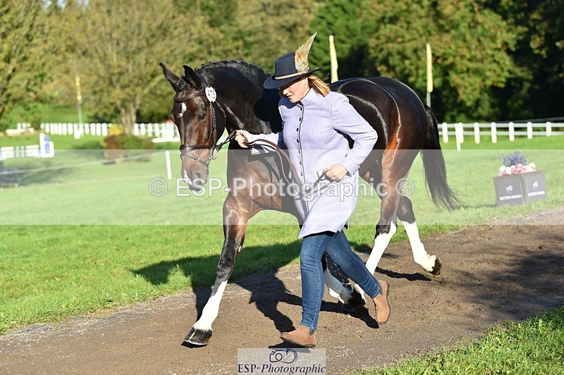 231022-100118-22187 - 475-ANDY.MAC-Hannah.COLMER-TrotUp+SJ