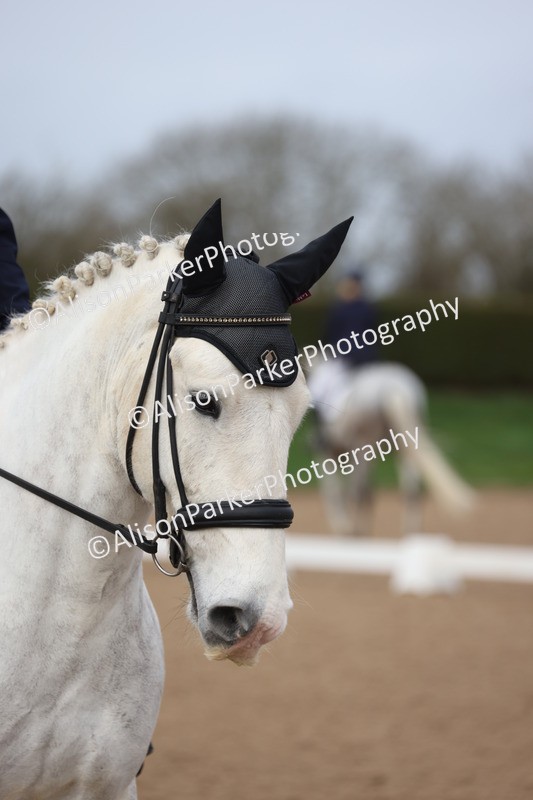 20260301-0111 - Class 2 - Prelim 5