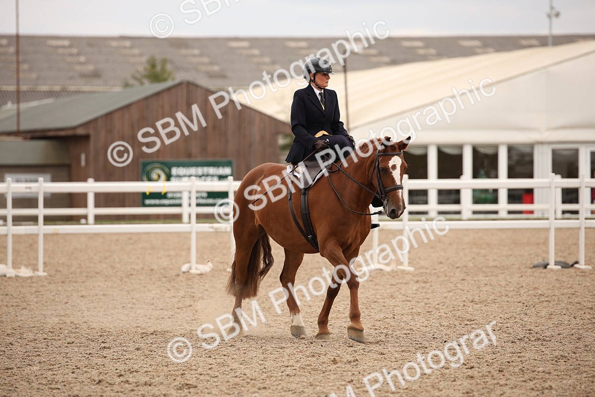 SBM_05472 - Class 22 SSA Equitation