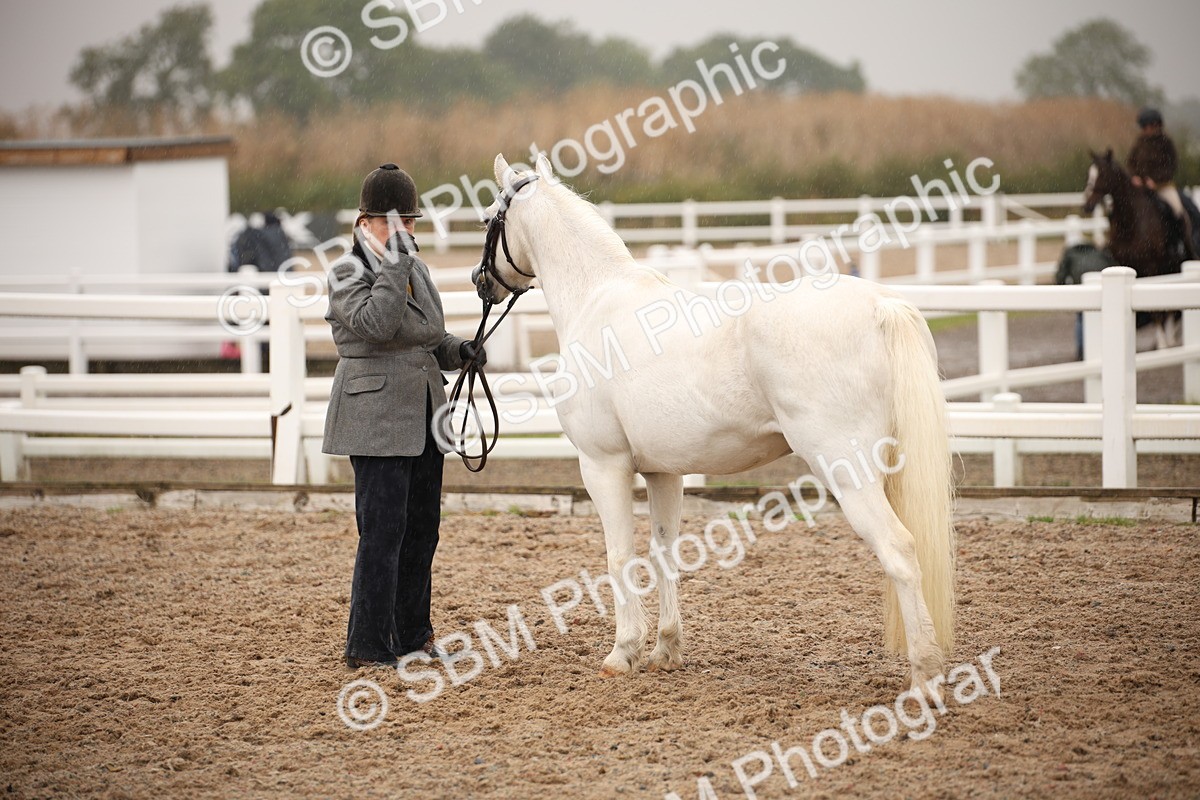 SBM_20690 - Class 705 - IH  Combination 65+