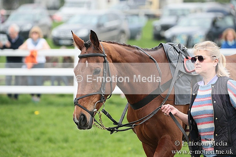 PtP 210418 130 - South & West Wilts Point-to-Point Larkhill 21/04/18