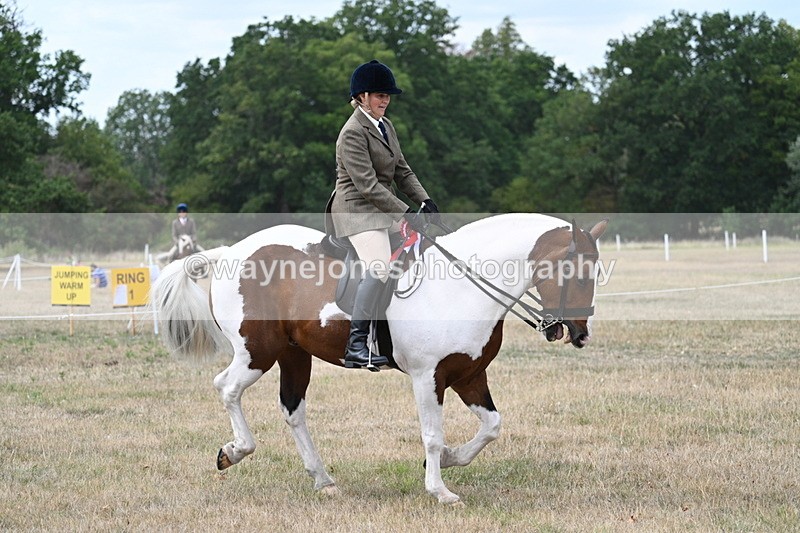 WJ7_5662 - Class 12 Ridden Cob