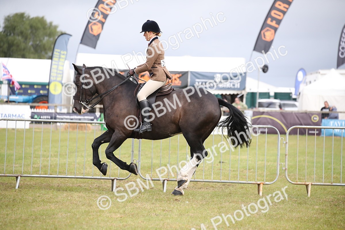 SBM_11249 - Class 92-93 - LIHS BSHA Rising Star Cobs