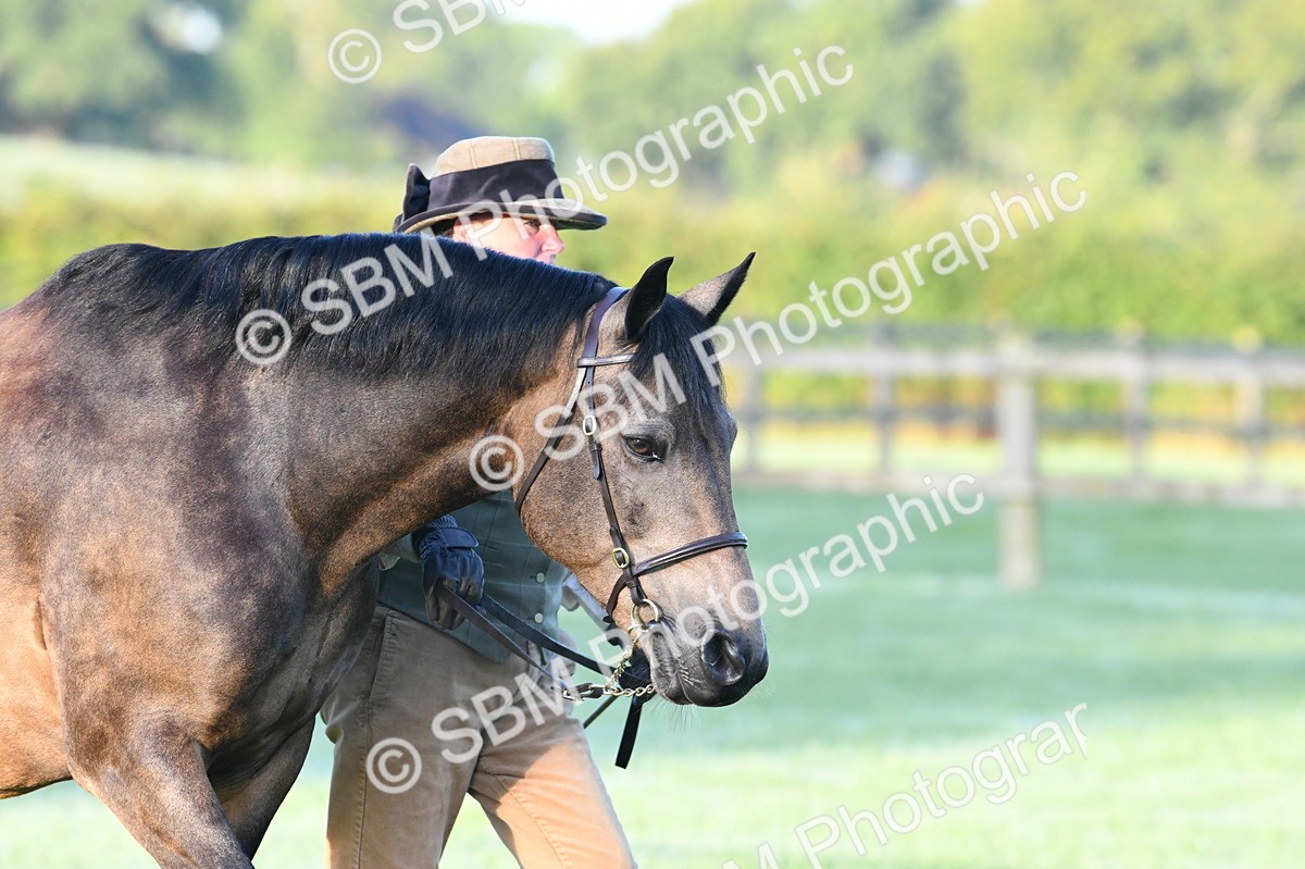 SBM_32427 - S15 - Condition & Turnout In Hand