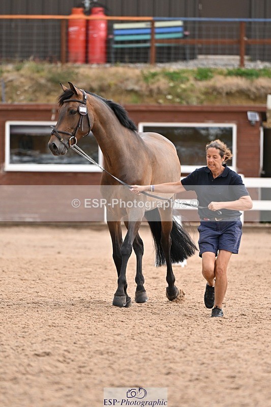 250716-145324-01476 - Trot Up 2.30 to 3.30